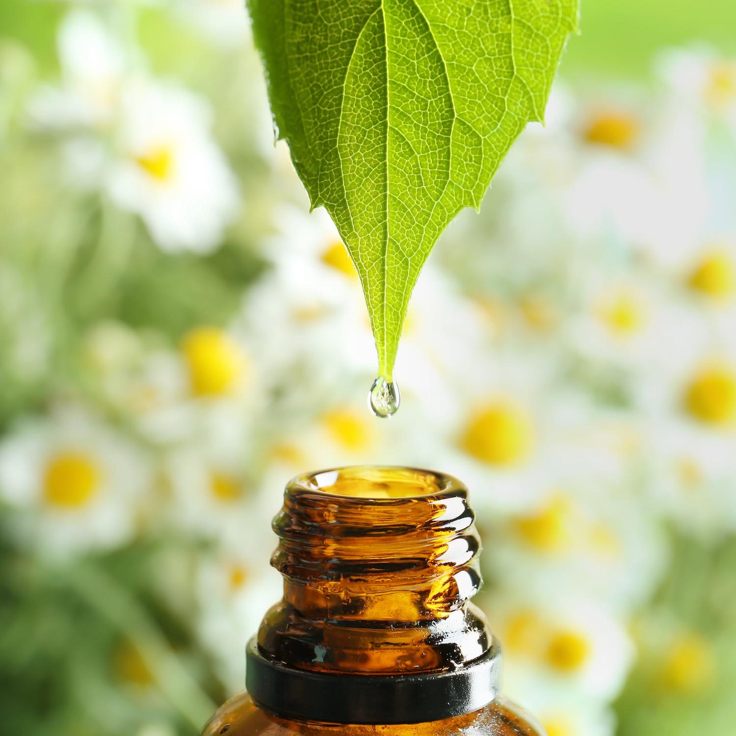 Aromathérapie, Pharmacie du Canon d'Or, Lambersart, Saint-André-lez-Lille